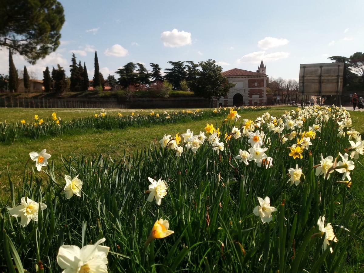 Verona Bottego Guest House Dış mekan fotoğraf